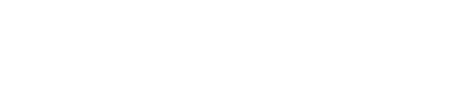ZIENER — Established 1946